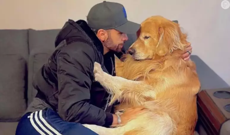 Cachorro Joca faleceu durante transporte aéreo da Gollog, empresa da Gol, devido a um erro no destino - Reprodução / Redes sociais