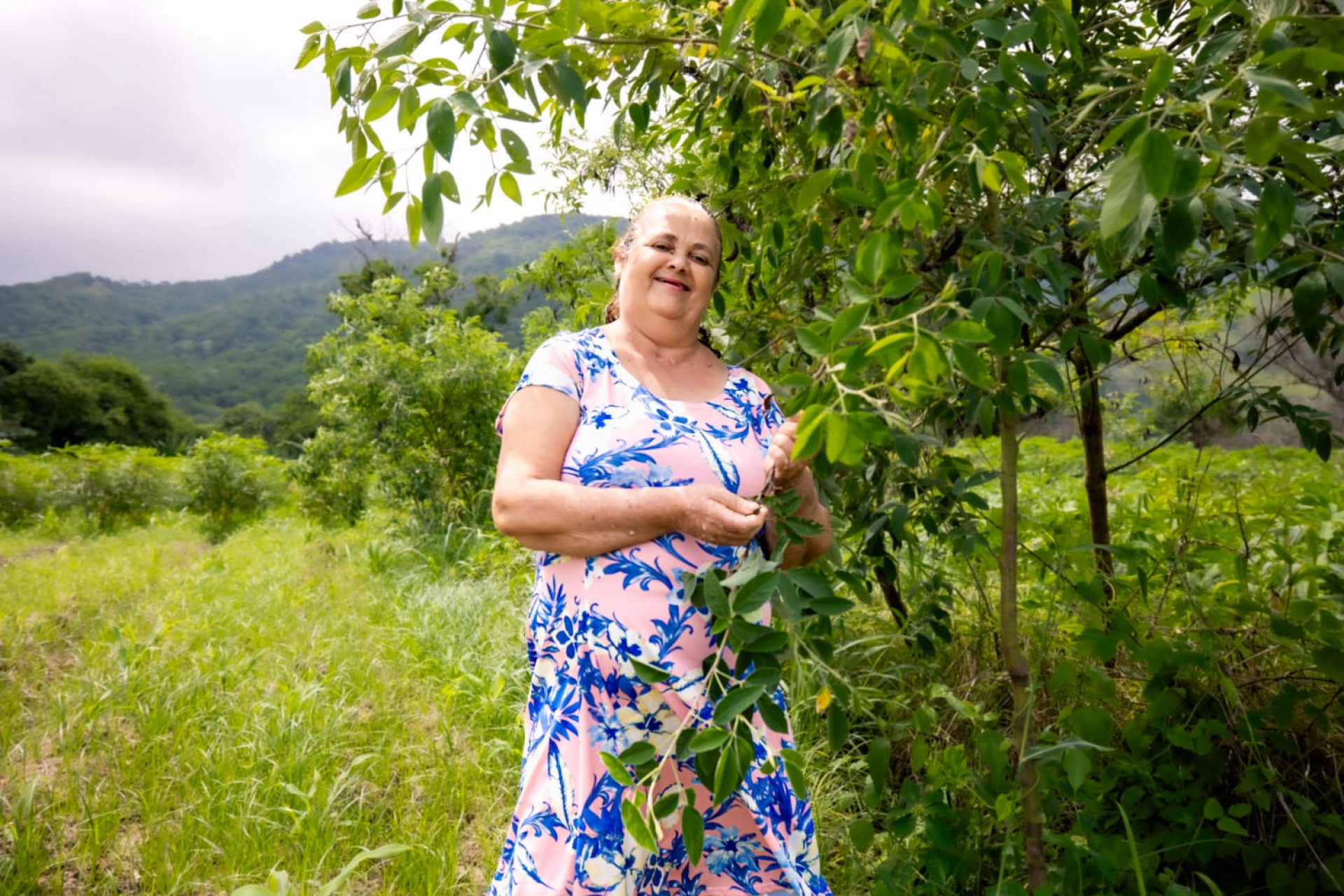 Mulheres da área rural de Saquarema plantam feijão guandu - Divulgação/Prefeitura de Saquarema