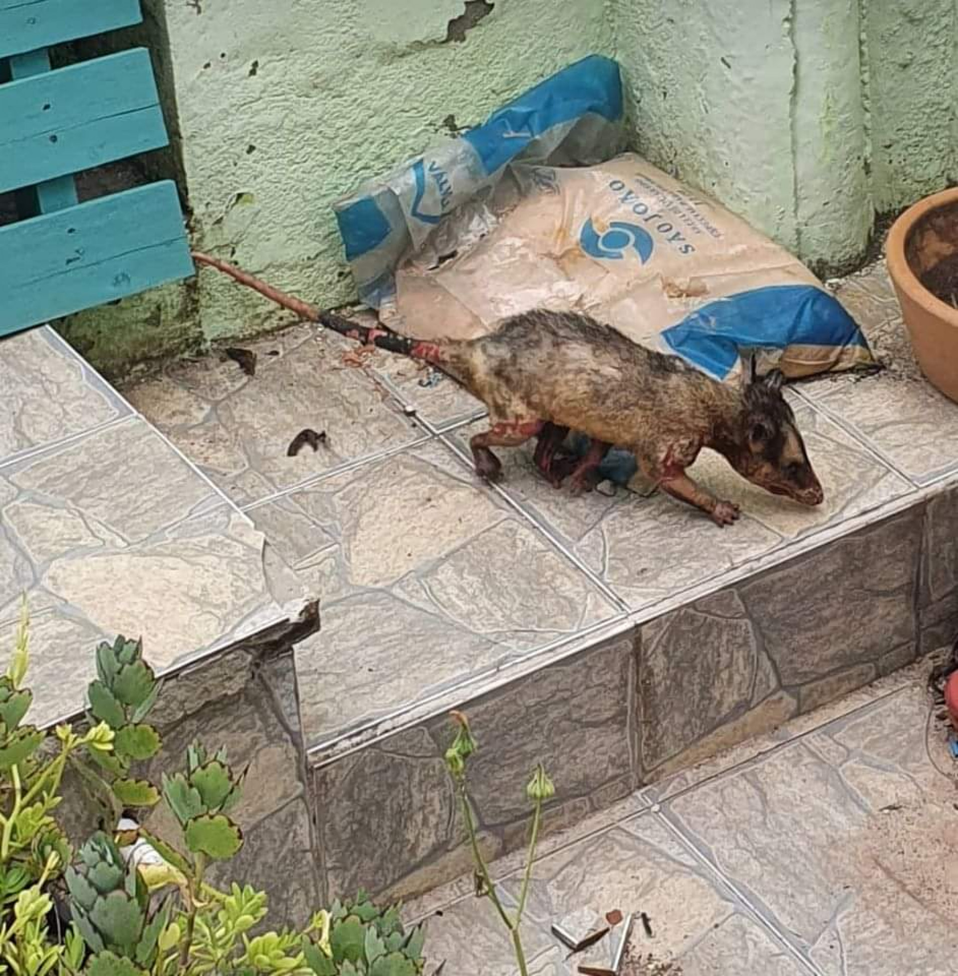 Guarda Ambiental de Saquarema ministra palestra para os municípios vizinhos - Divulgação/Prefeitura de Saquarema