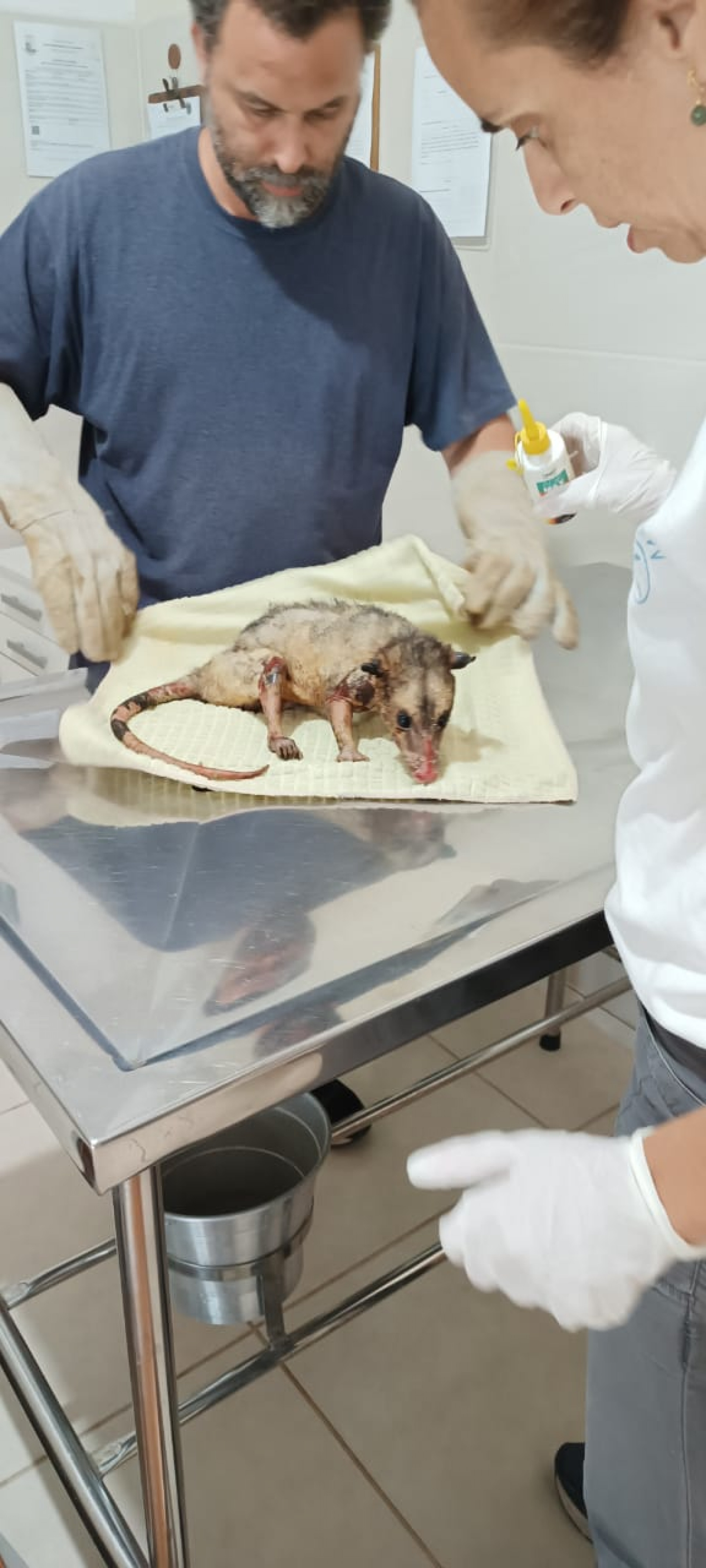 Guarda Ambiental de Saquarema ministra palestra para os municípios vizinhos - Divulgação/Prefeitura de Saquarema