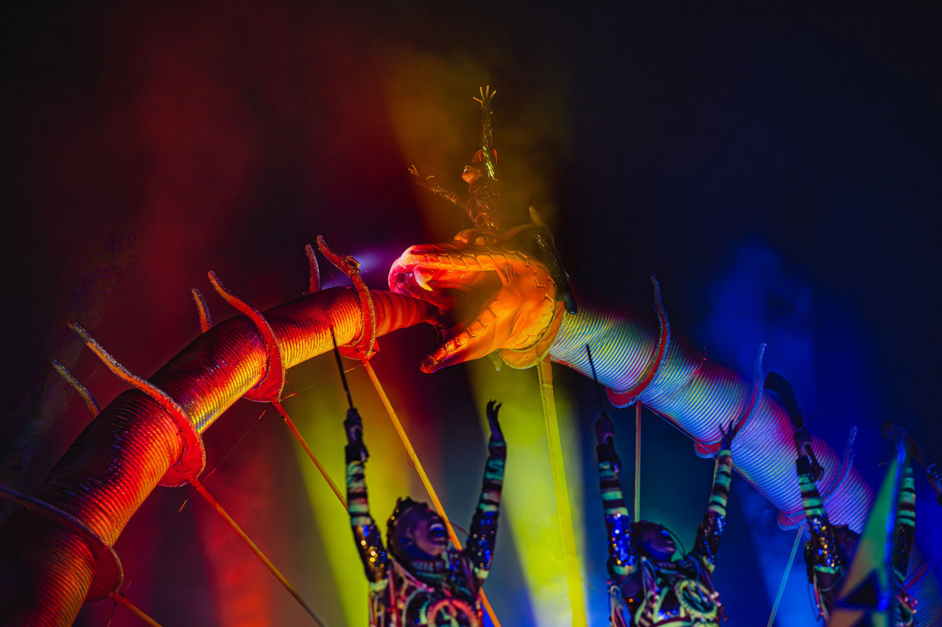 Exposi&ccedil;&atilde;o re&uacute;ne imagens do desfile da Viradouro em 2024 - Divulga&ccedil;&atilde;o / Renata Xavier