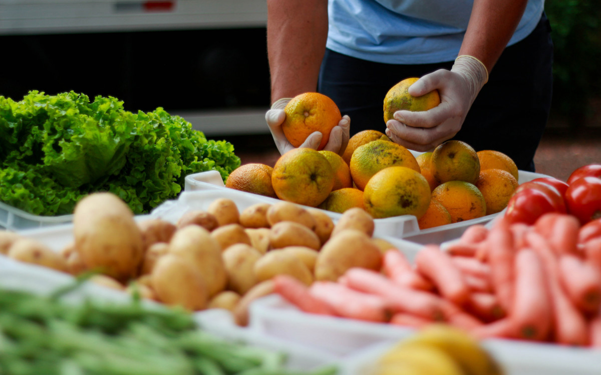 Sesc arrecada alimentos com recorde em 2024