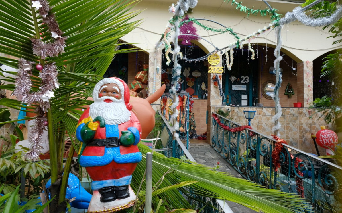 Casa na Rua Bambuí chama atenção pela decoração de Natal
- Pedro Teixeira/Agência O Dia