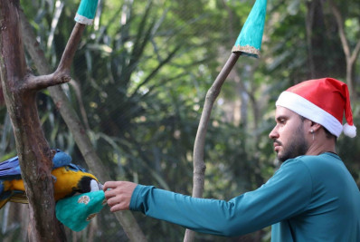 BioParque e AquaRio têm programação especial de Natal; confira