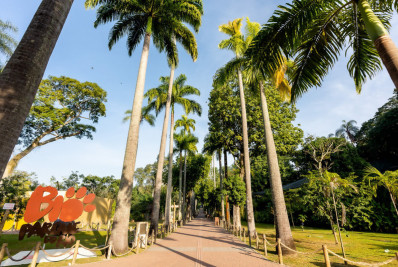 Galinhas-d'angolas mortas no BioParque passam por exames de necropsia