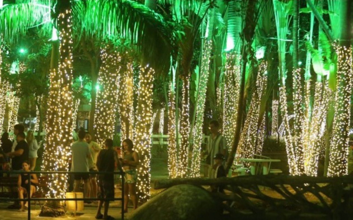 Esculturas de LED e iluminação em árvores decoram às noites do Campo de São Bento, no Icaraí, em Niterói