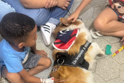 Crianças internadas em hospital de Niterói recebem visita de cães 