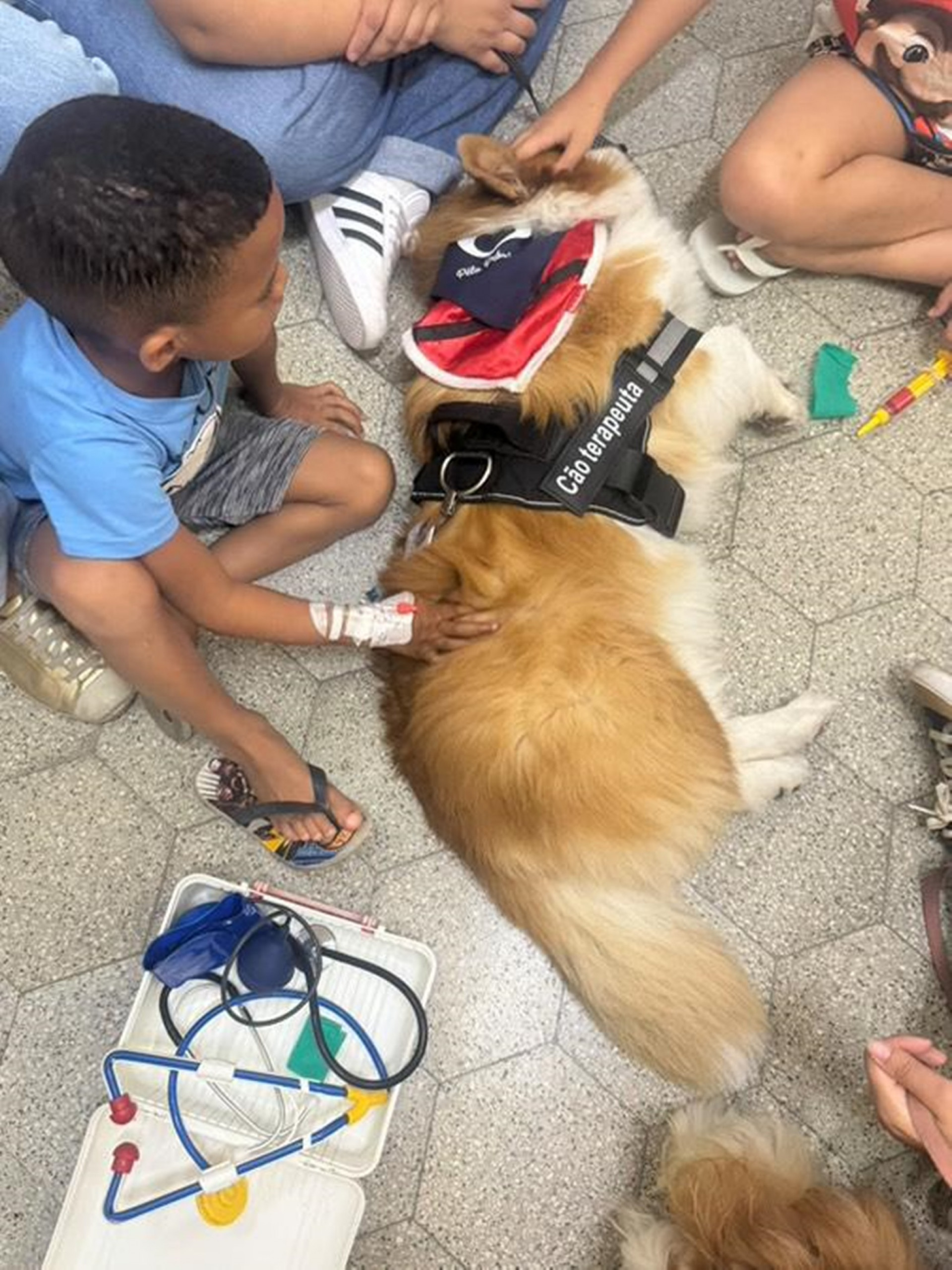 Crianças receberam a visita de dois cães terapeutas no Hospital - Divulgação / Antônio Pedro