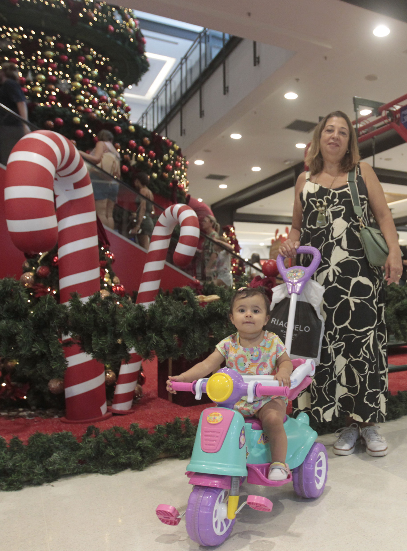 A aposentada T&acirc;nia Adegas, de 61 anos, e sua neta, Mait&ecirc; Adegas, de 1 ano - Reginaldo Pimenta/Ag&ecirc;ncia O Dia