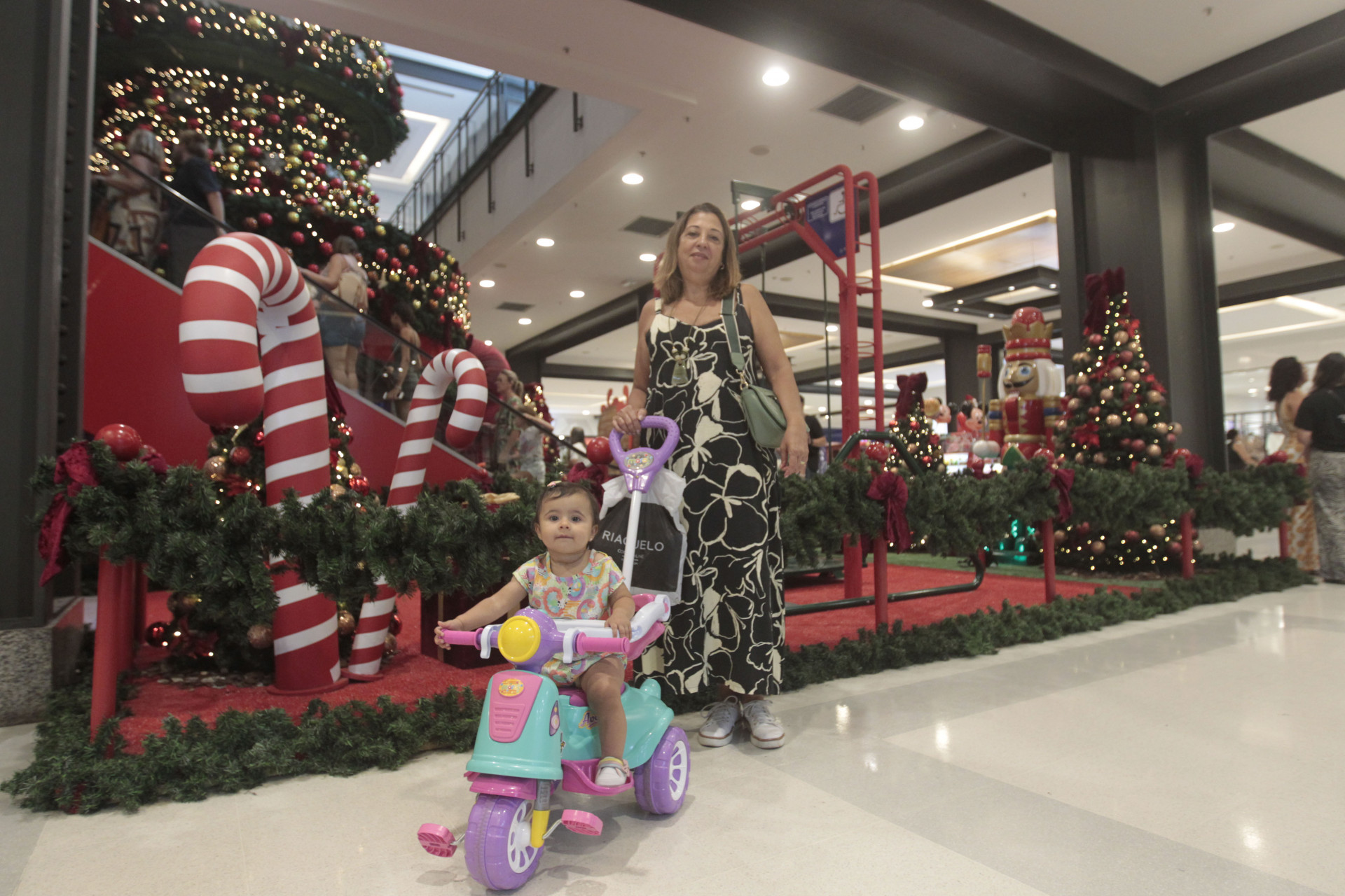 A aposentada T&acirc;nia Adegas, de 61 anos, e sua neta, Mait&ecirc; Adegas, de 1 ano - Reginaldo Pimenta/Ag&ecirc;ncia O Dia