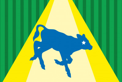 Vaca não reconhece o bezerro!