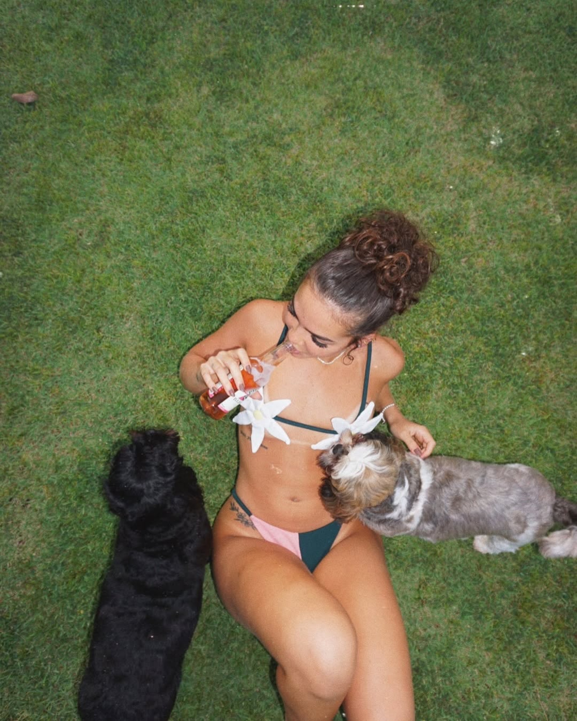 Mel Maia curte dia de piscina com os seus cachorrinhos - Reprodução / Instagram