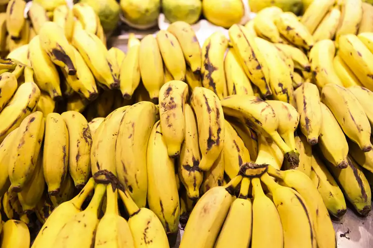 Portugal apreende 3,5 toneladas de cocaína em carregamento de bananas