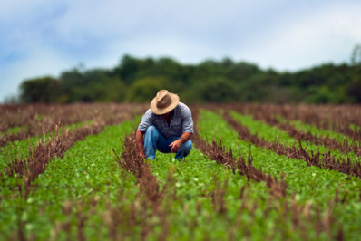 Índice de preço dos alimentos da FAO sobe em abril, com alta de cereais, carnes e lácteos