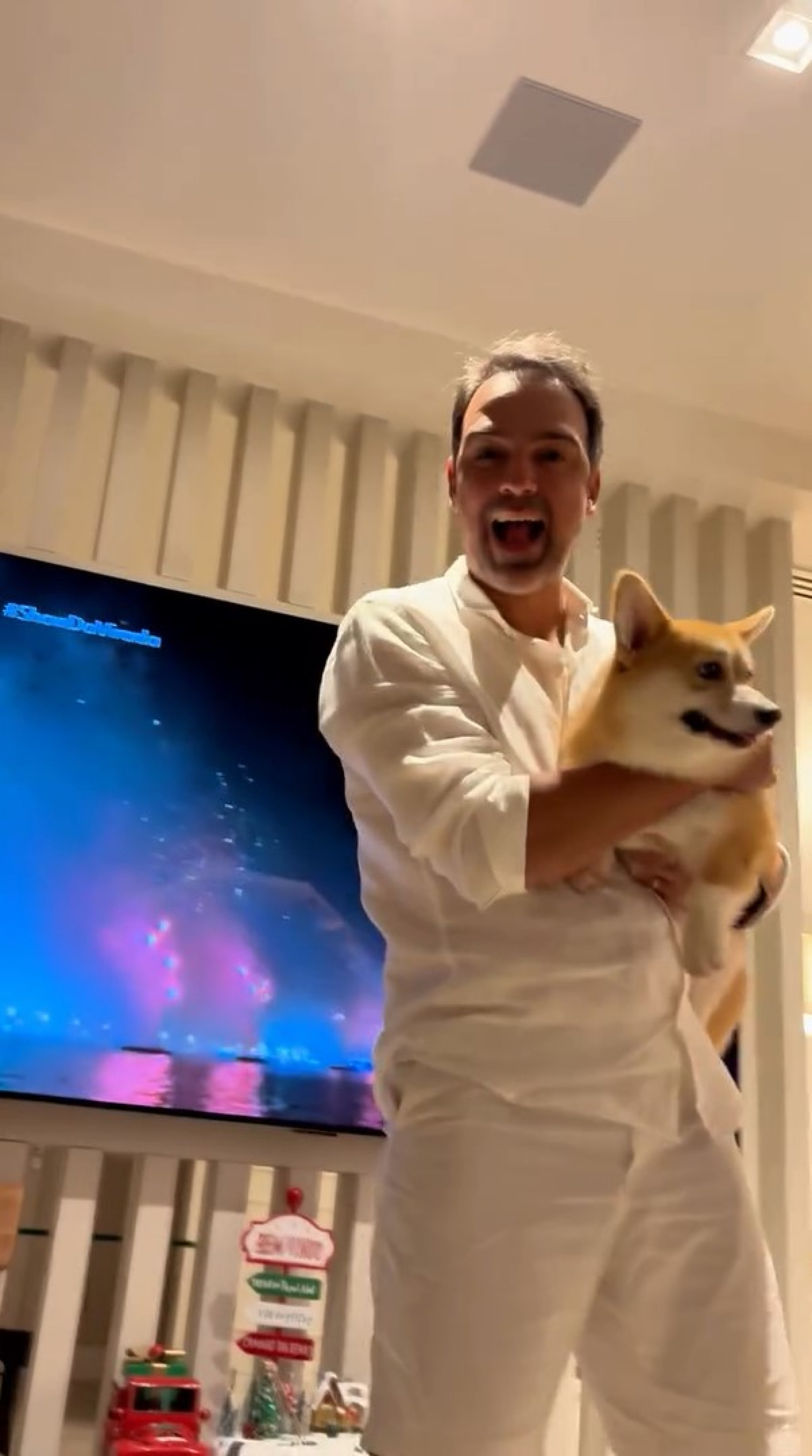 Tadeu Schmidt precisou acalmar cachorra por causa dos barulhos de fogos de artifício no Réveillon  - Reprodução / Instagram