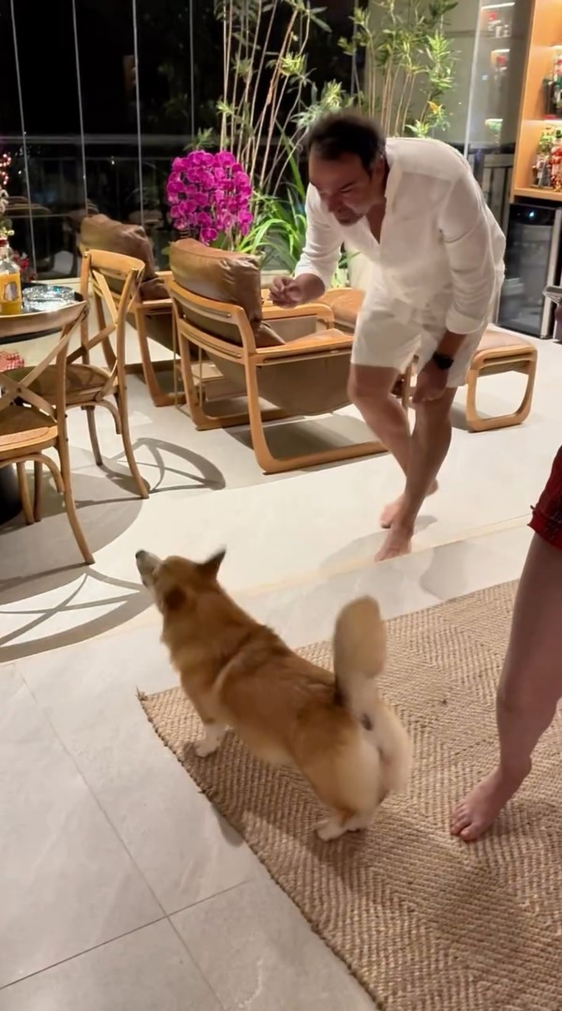 Tadeu Schmidt precisou acalmar cachorra por causa dos barulhos de fogos de artifício no Réveillon  - Reprodução / Instagram