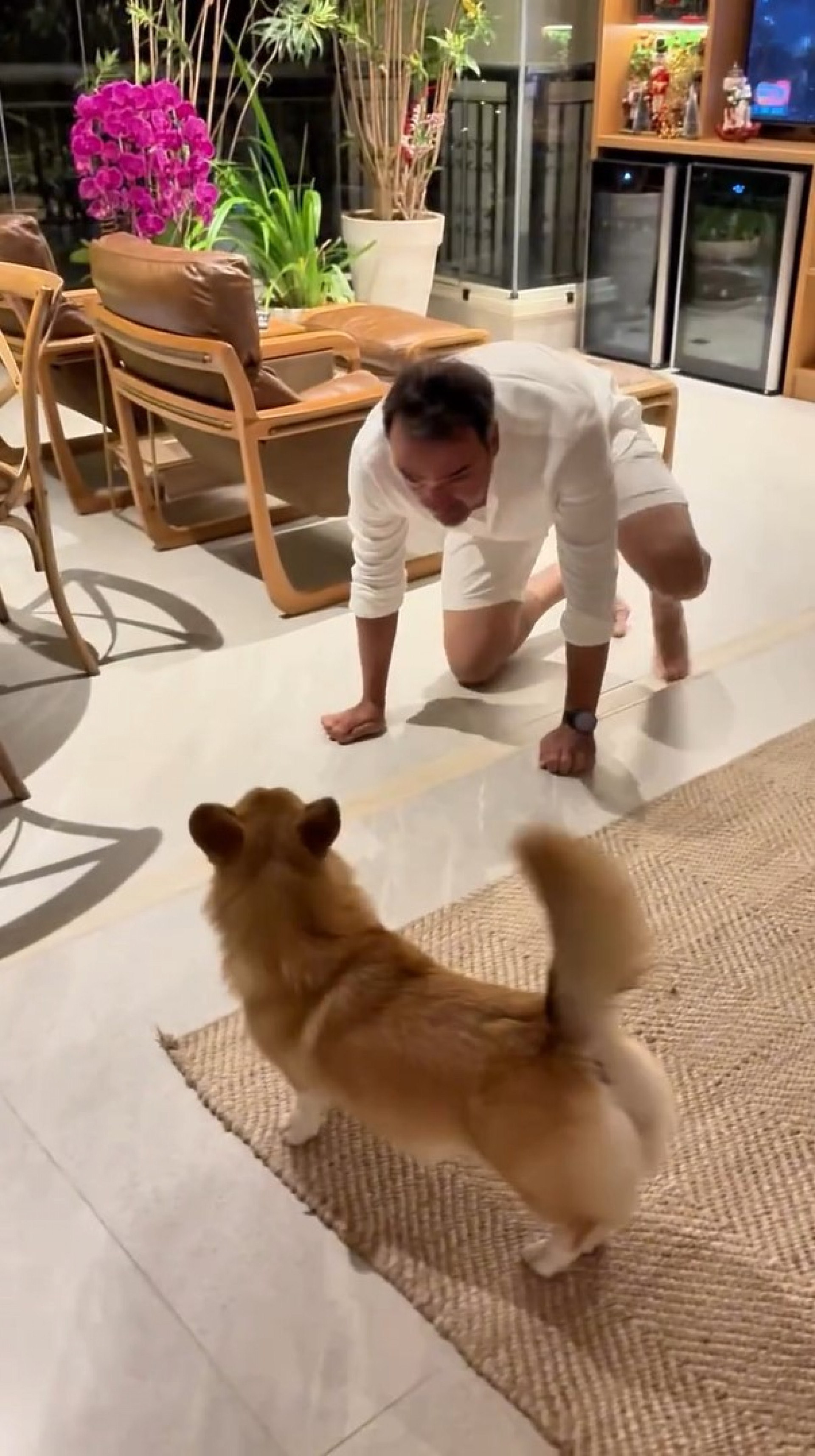 Tadeu Schmidt precisou acalmar cachorra por causa dos barulhos de fogos de artifício no Réveillon  - Reprodução / Instagram