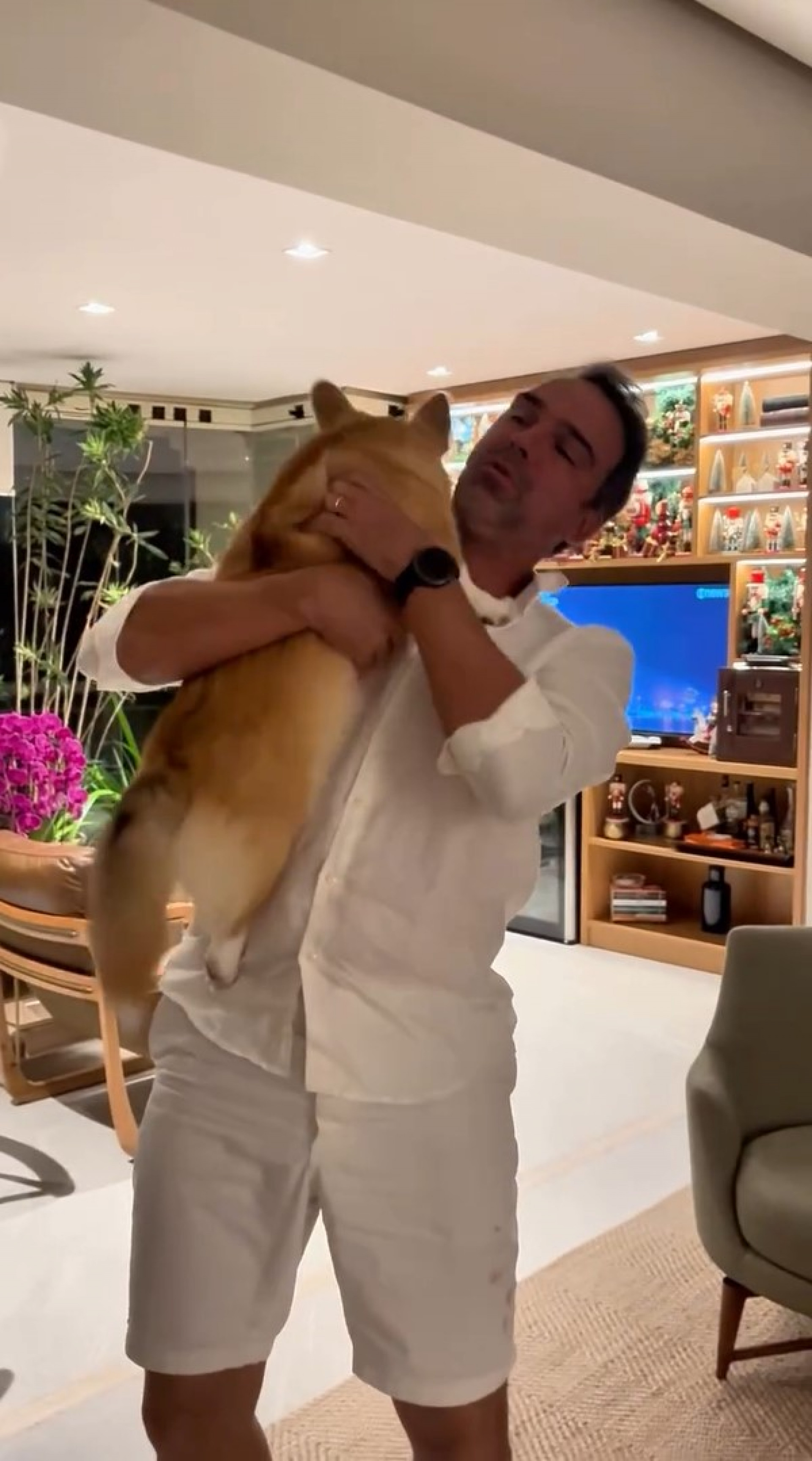 Tadeu Schmidt precisou acalmar cachorra por causa dos barulhos de fogos de artifício no Réveillon  - Reprodução / Instagram