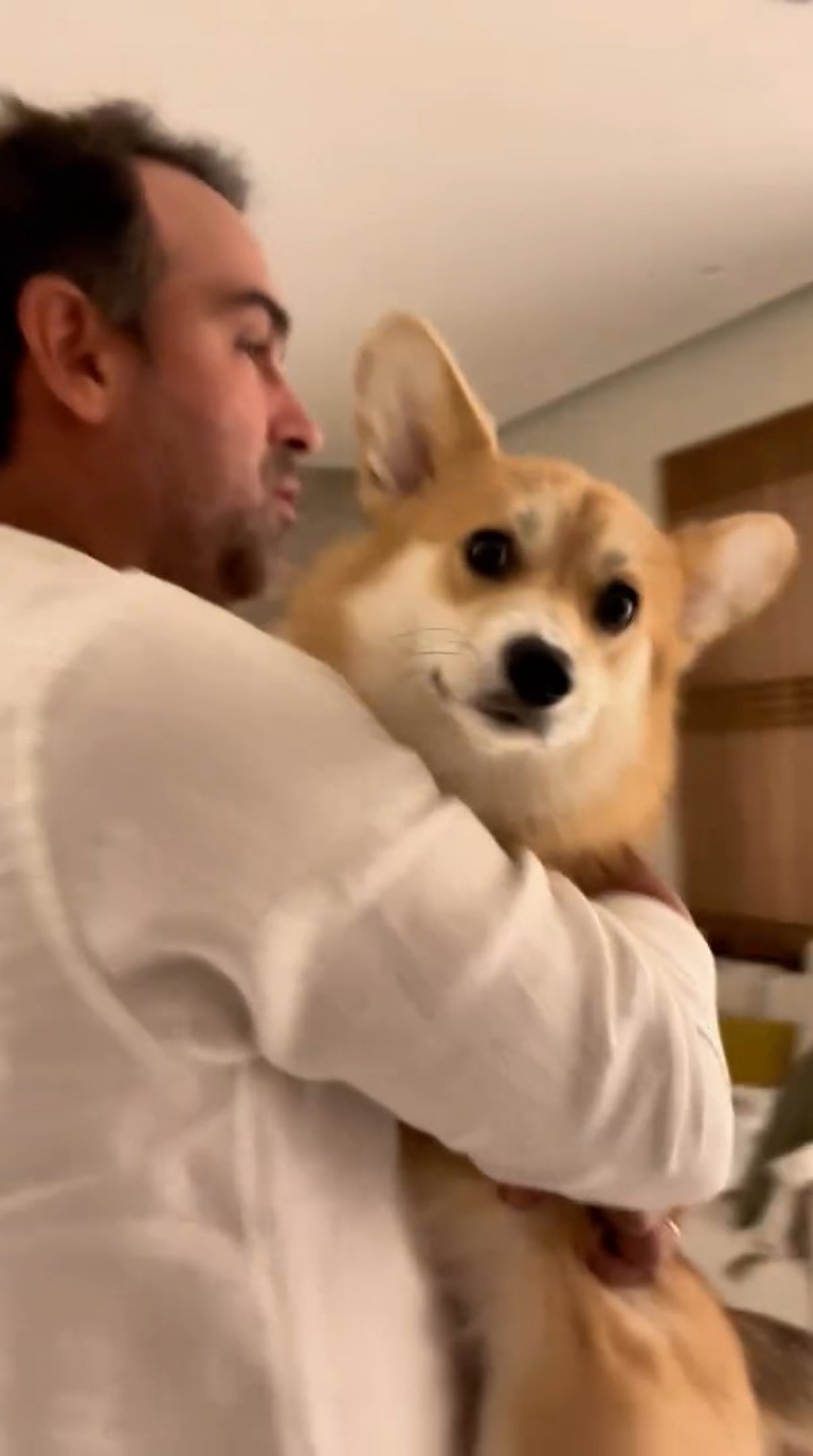 Tadeu Schmidt precisou acalmar cachorra por causa dos barulhos de fogos de artifício no Réveillon  - Reprodução / Instagram