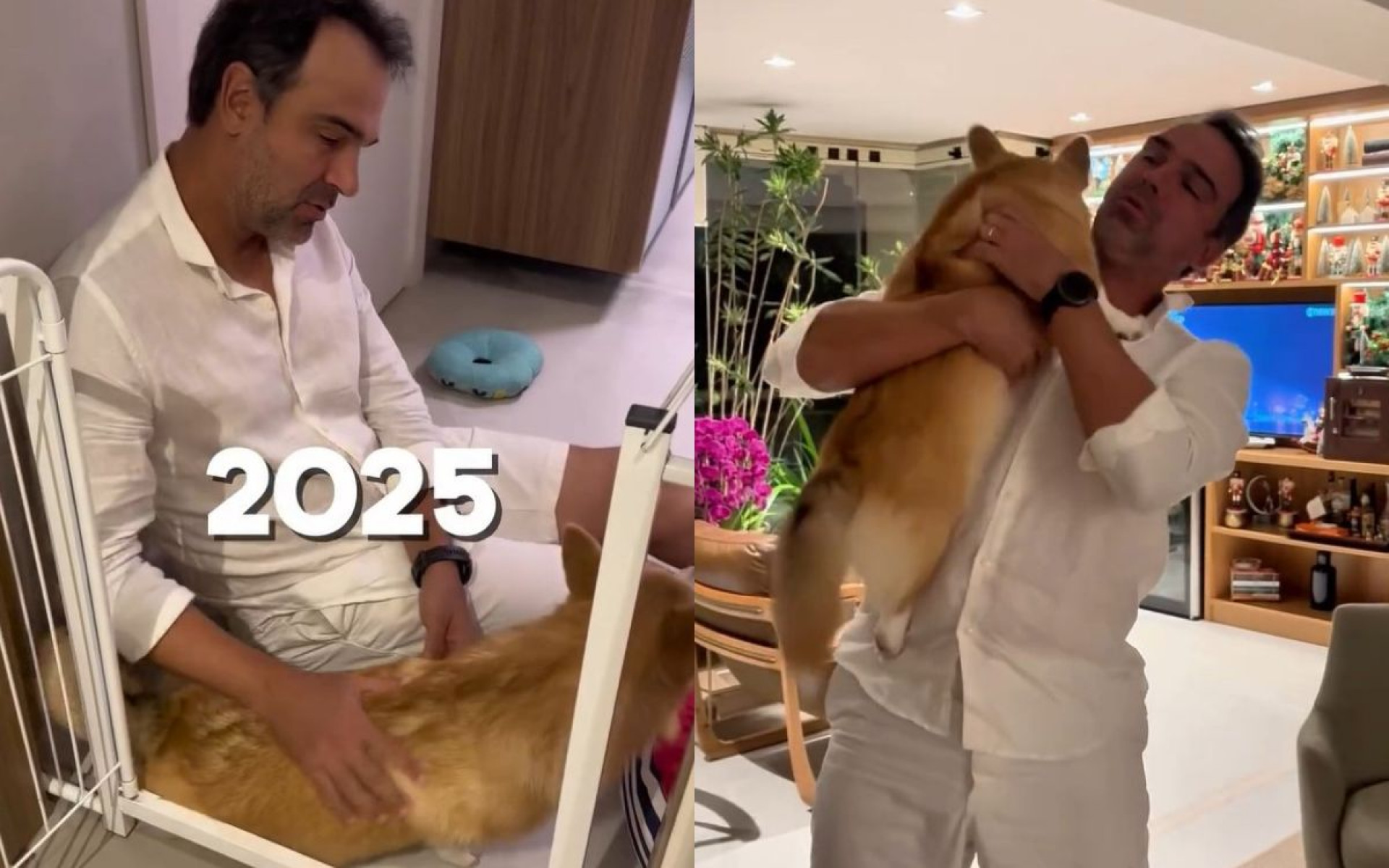 Tadeu Schmidt precisou acalmar cachorra por causa dos barulhos de fogos de artifício no Réveillon  - Reprodução / Instagram