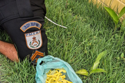 Ação policial em Cajueiro intercepta suspeito com drogas e dinheiro