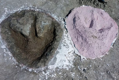 'Rodovia de dinossauros' com 200 pegadas é descoberta na Inglaterra; veja imagens