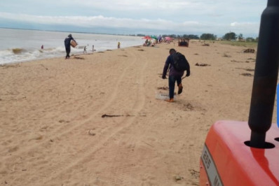 Força-tarefa limpa 62 quilômetros de litoral envolvendo sete praias