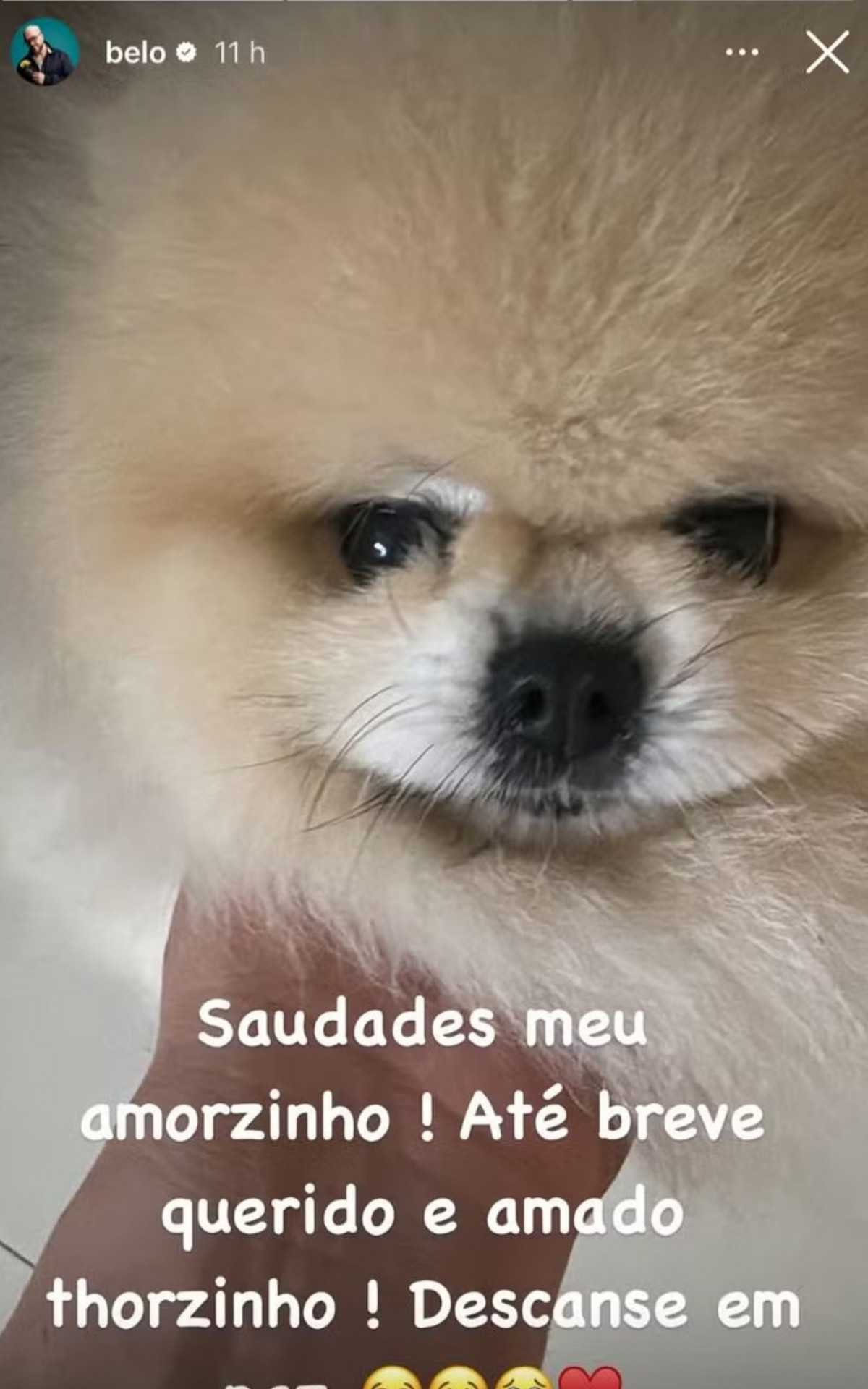 Belo lamenta morte de Thor - Reprodução/Instagram