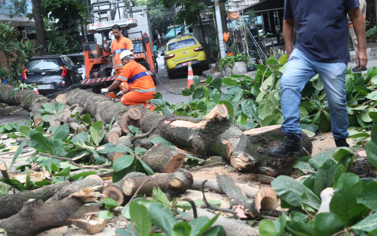 - Pedro Teixeira/Agência O DIA