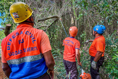 Galho que caiu sobre uma residência foi removido pela Defesa Civil de Meriti