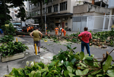 Árvore cai em cima de fiação e fica atravessada em rua da Tijuca