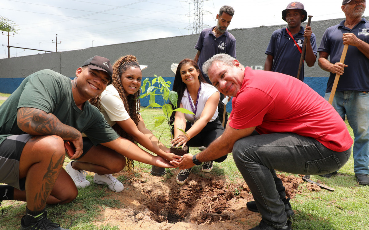 Plantio de muda de baobá em Mesquita