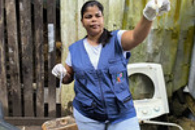 Aedes aegypti: Lira mostra índices nos bairros