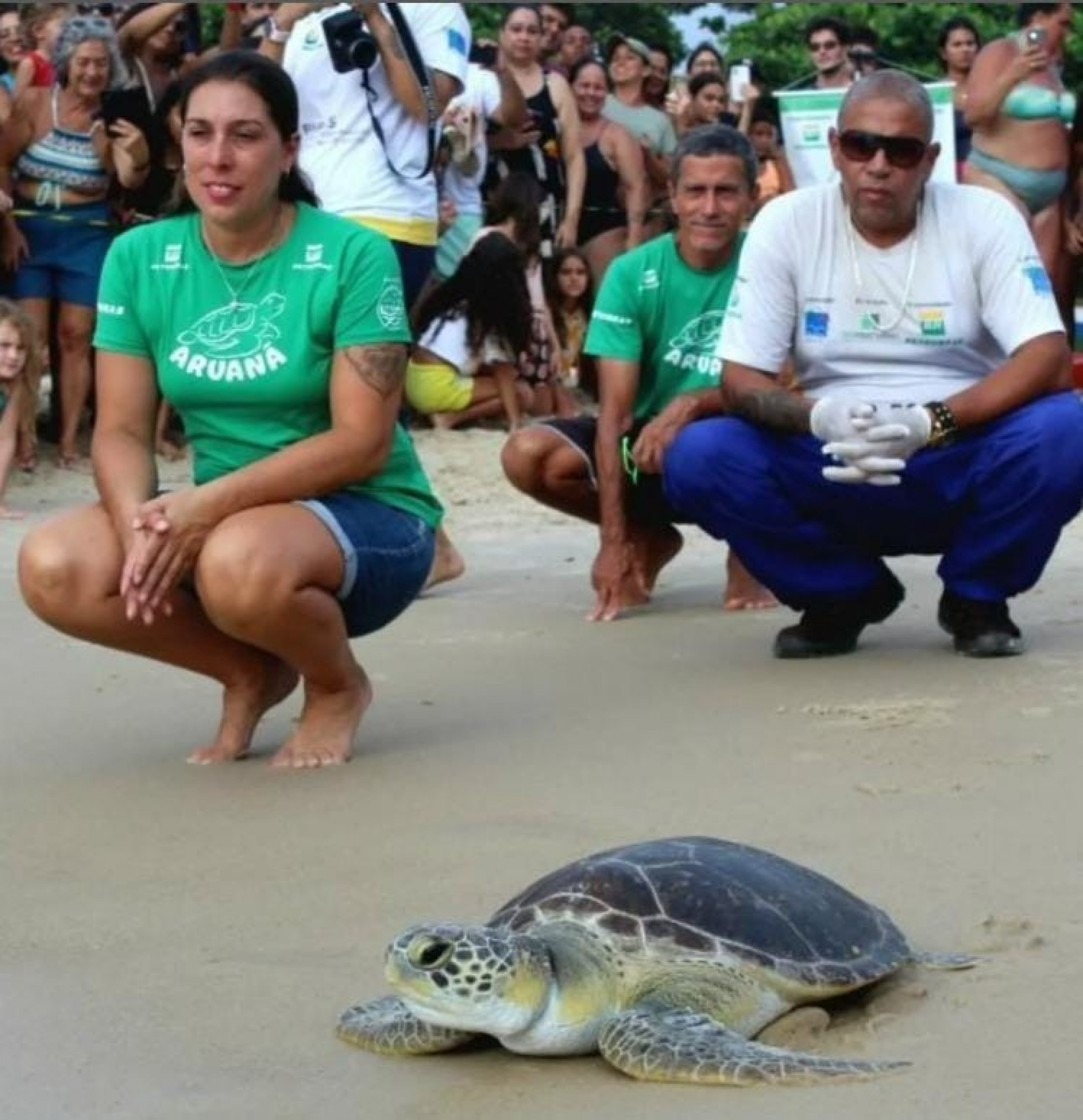 Tartaruga foi devolvida ao mar em ação do Projeto Araunã  - Reprodução / Eduardo Antunes