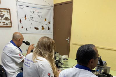 Caxias faz primeiro levantamento de índices rápido para mosquito da dengue