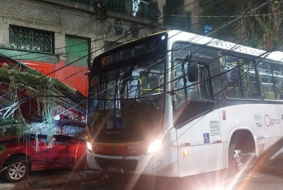 Ônibus e mais cinco carros são atingidos durante queda de árvore na Zona Norte