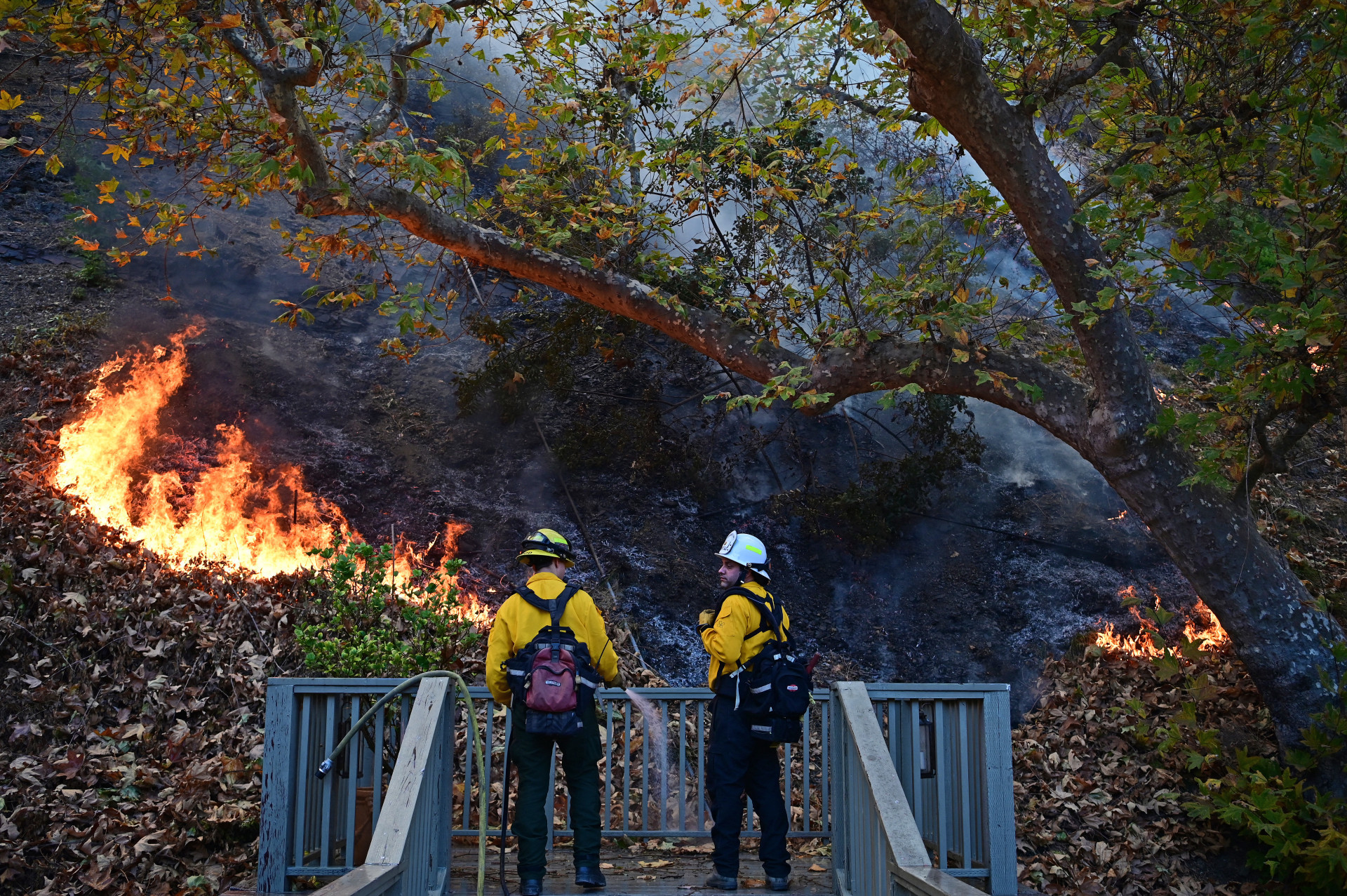 Incêndios assolam Los Angeles há seis dias - AFP