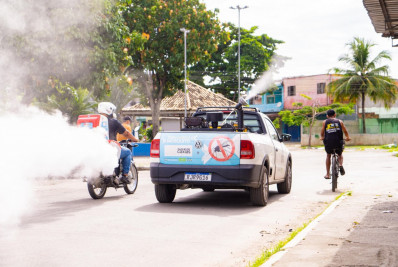Saúde anuncia 80 municípios prioritários para ações contra dengue