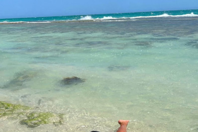 Ex-BBB Ariadna sensualiza em banho de mar na Austrália