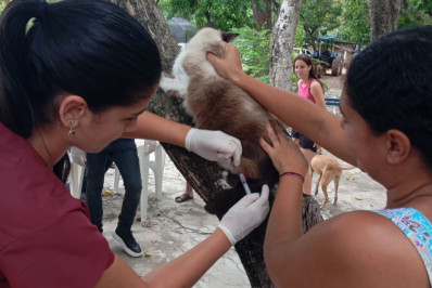 Vigilância em Saúde monta estratégia de vacinação contra a raiva animal