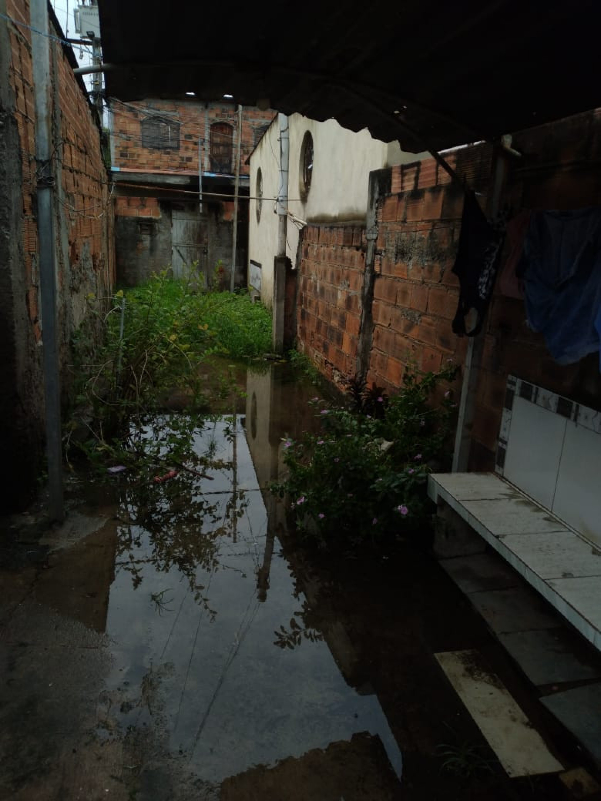 Entupimento do esgoto da rua causa alagamentos no quintal de Fabiana Vieira - Arquivo pessoal