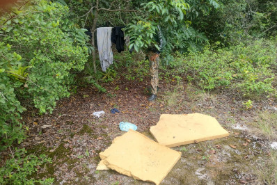 Polícia Ambiental encontra 