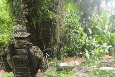 Denúncia de crime ambiental em área de preservação na Enseada