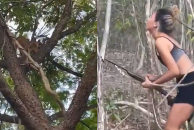 Mulher que torturou e gravou morte de onça-parda é identificada pelo Ibama