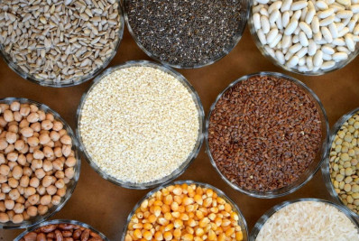 7 alimentos ricos em fibras e antioxidantes 