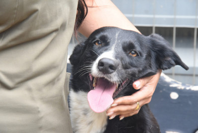 Prefeitura de Maricá emite nota sobre o pagamento do MumbuCão