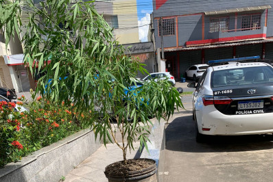 Jovem, de 25 anos, é preso por tráfico de drogas em Itatiaia