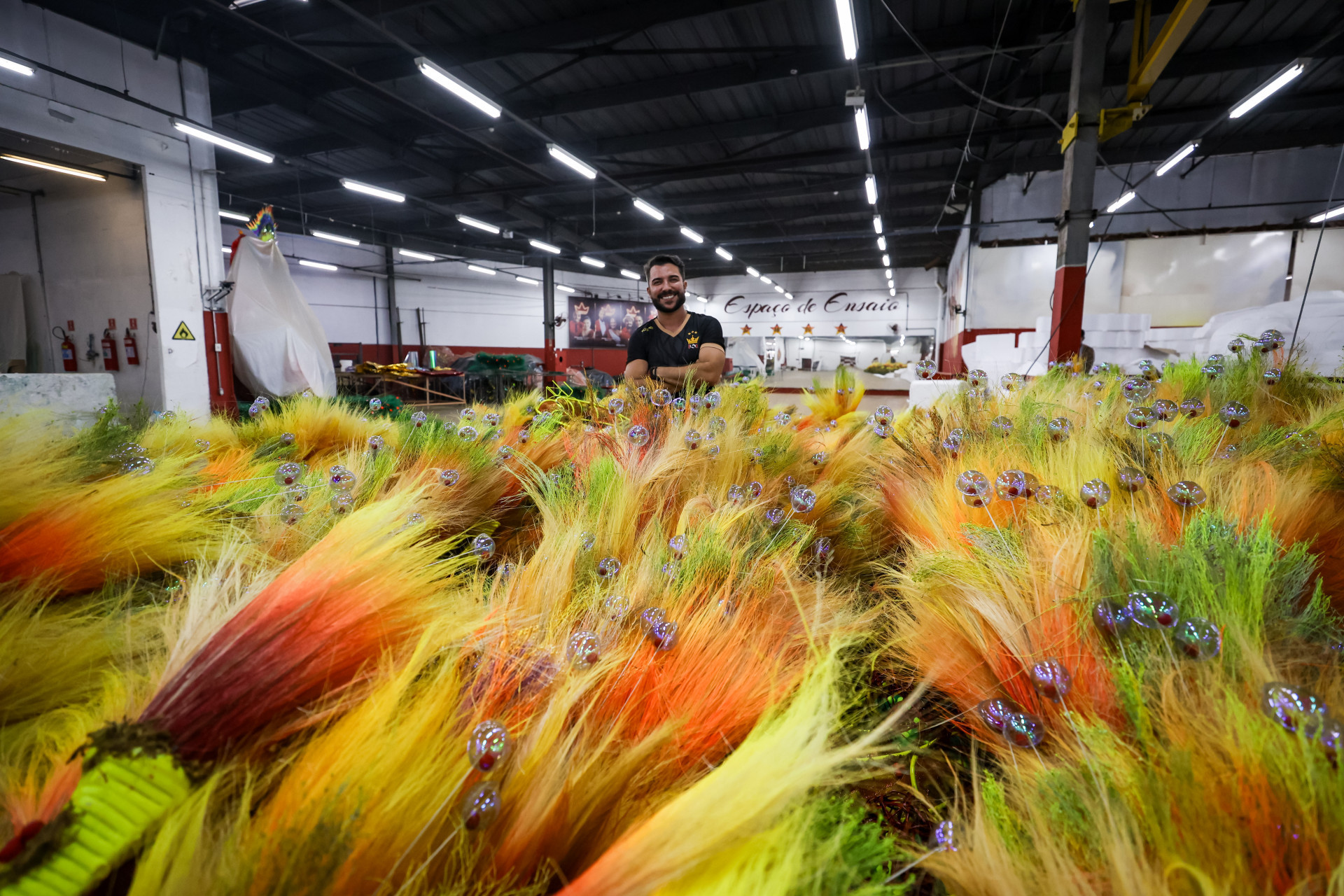Tarc&iacute;sio Zanon afirma que desfile da Viradouro come&ccedil;ar&aacute; com o fogo - Renan Areias/Ag&ecirc;ncia O Dia