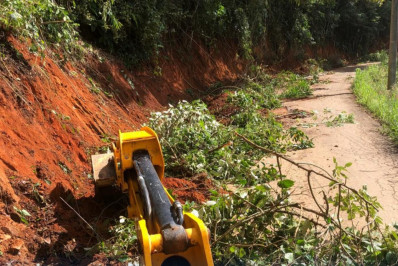Trechos obstruídos da RJ-230 são limpos