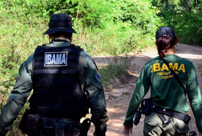 Ibama publica edital de concurso com 460 vagas de analista e salário de até R$ 9,9 mil